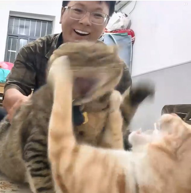 打架